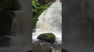 Triberg falls earth earthlyechoes travel nature germany europe hike filson [upl. by Schwing]