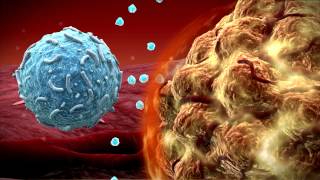 Keytruda Melanoma Drug That Uses Immune System To Fight Cancer Appoved [upl. by Adnir]