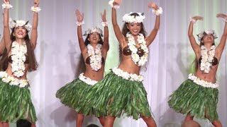 Halau O Ka Manu Hula Le‘a  Oedo Hawaii Festival 2016【Digest】 [upl. by Novyert]