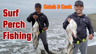 Red Tail Surf Perch Fishing Catch amp Cook [upl. by Mroz]