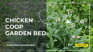 Chicken Coop Garden Bed [upl. by Ervin369]