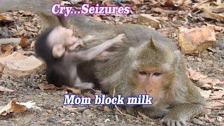 Extremely Angry mom Pity poor baby very Hungry Cry seizures request milk Doris block milk baby [upl. by Catharina]