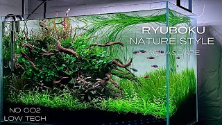 HOW TO MAKE A LOW TECH NO CO2 PLANTED AQUARIUM  STEP BY STEP AQUASCAPING TUTORIAL [upl. by Atis]