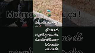 mi dispiace per nazukigamer Yt R I P KIRA [upl. by Theola387]