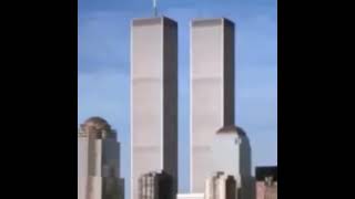 twin towers meme [upl. by Cassella]