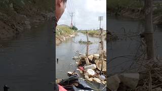 Hard workCleaning plastic leaves from Canal avoid environmental pollution cleaning shorts [upl. by Barkley542]