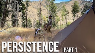 PERSISTENCE  Idaho  Elk amp Muledeer Part 1 [upl. by Airretnahs]