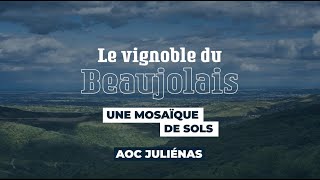 Juliénas cru du Beaujolais  Le vignoble du Beaujolais une mosaïque de sols [upl. by Pepi]