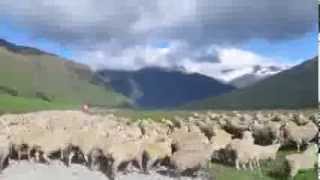 Aotearoa New Zealand 2011  Travel Video [upl. by Trab]