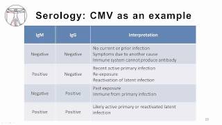 EBV Diagnostics [upl. by Benjamen827]