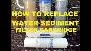 How To Replace Sediment Filter Cartridge on Your Water Purifier Plus Cleaning Process [upl. by Novart]