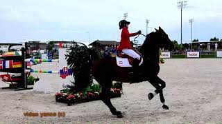 Horse show jumping falls compilation [upl. by Warrenne850]