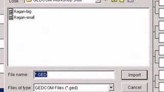 Genealogy  Working with GEDCOM Files Made Easy  Part 2 [upl. by Wilmott]