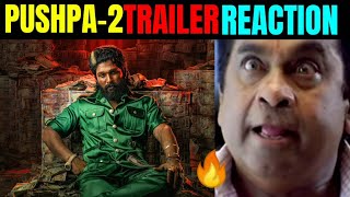 quotPUSHPA THE RULEquot TRAILER REACTION 🔥🤯  pushpa 2 Trailer  ALLU ARJUN  SUKUMAAR  RASHMIKA [upl. by Airitak382]