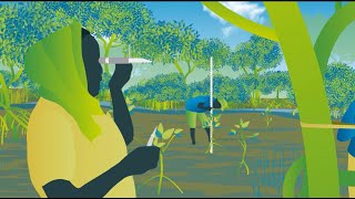 Mangrove Restoration  series  Vidéo 4  Pérenniser les mangroves FR [upl. by Aicemaj]