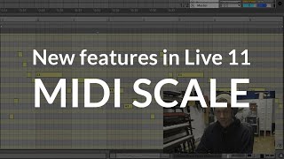 Ableton Live 11 Midi scale – Explained by an Ableton Certified Trainer [upl. by Atteiluj]