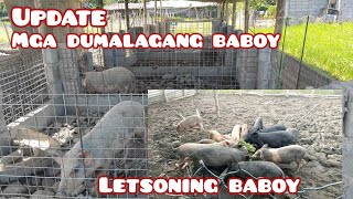 UPDATE SA MGA DUMALAGANG BABOY AT LETSONIN [upl. by Salamanca784]