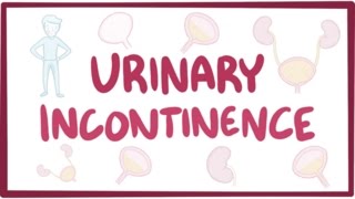 Urinary incontinence  causes symptoms diagnosis treatment pathology [upl. by Erbas292]