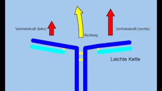 Theorie des Immunsystems Antikörper und Antigene [upl. by Silas900]