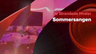 De Strandede Hvaler  Sommersangen Officiel video [upl. by Llerrem120]