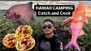 Epic camping adventure Fishing and diving for our next meal  CATCH COOK CREATE [upl. by Artenahs]