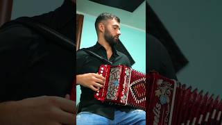 Geordie Remix accordion gabryponte organetto diatonic viral dance2000 [upl. by Adnuhsed]