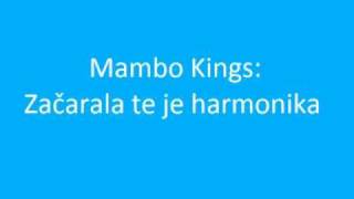 Mambo Kings  Začarala te je harmonika [upl. by Cost]