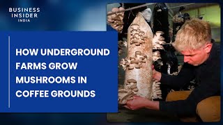 How Underground Farms Grow Mushrooms In Coffee Grounds [upl. by Niggem982]