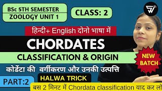 Trick to learn Classification of Phylum Chordata in 2 mins🤩Origin of chordatesBSc 5th Semester [upl. by Aiuqcaj]