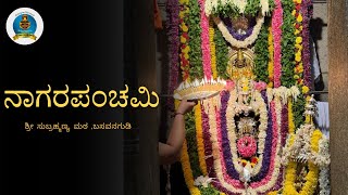 Nagara Panchami  Shree Subrahmanya Matha  Basavanagudi [upl. by Mcquillin]