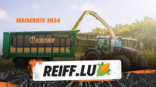 Maisernte 2024 zu Gast bei Lohnunternehmen Reifflu [upl. by Inod251]