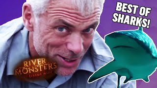 Best Of Sharks  COMPILATION  River Monsters [upl. by Liam936]