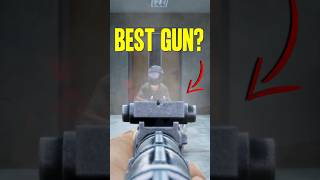 Is the AKM the BEST GUN ✅ [upl. by Yralam]