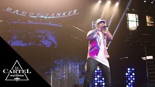 Daddy Yankee  THE KINGDOM Parte 3 Live [upl. by Ennovehs559]