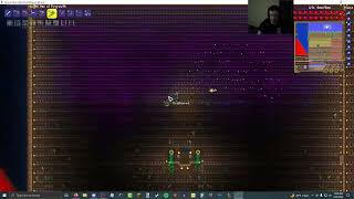 Terraria Harvesting 4757 Deathweed From A Single Farm [upl. by Aniratak]