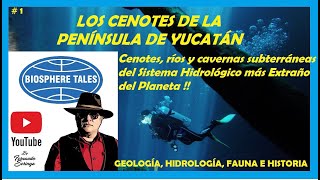 LOS CENOTES DE LA PENINSULA DE YUCATAN ¡Todo sobre El Sistema Hidrológico más Fabuloso del Mundo [upl. by Bannon]