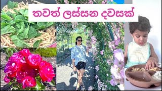 ඉතින් ඉතින් කොහොමද Spaghetti Recipe The Gardens  Sinhala Vlog [upl. by Dabbs]