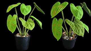 How to Crochet Elephant ear leafZebrina plant [upl. by Akila]