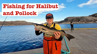 Fishing for Halibut and Pollock [upl. by Gayleen681]