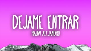 Rauw Alejandro  Dejame Entrar [upl. by Nikal853]