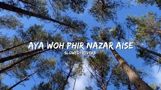 Aya Woh Phir Nazar AiseSlowedReverbsong [upl. by Marvella]