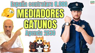 😵‍💫 ESPAÑA NECESITA 8000 MEDIADORES DE CONFLICTOS CON GATOS SEGUN LA LEY DE BIENESTAR ANIMAL 😵‍💫 [upl. by Rettuc521]