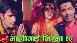 New Panchebaja Song Maligai Bhirma Chha By Khuman Adhikari amp Sushila Gautam  Bimal Adhikari [upl. by Nolahc]