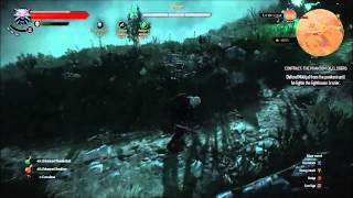 Witcher 3  Contract The Phantom of Eldberg [upl. by Ahsiel]