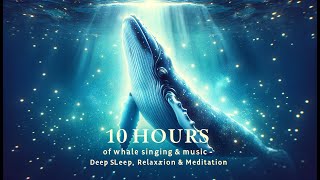 10 hours of real whale singing sounds relaxing music for deep sleep stress relief and relaxation [upl. by Llertnauq]