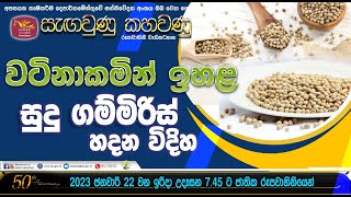 වටිනාකමින් ඉහල සුදු ගම්මිරිස් නිෂ්පාදනය [upl. by Hemminger]