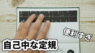 【ノートで手作り手帳】自己中な定規が便利すぎた [upl. by Ulrika930]