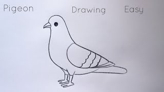 how to draw pigeon drawing easy step by stepaaravdrawingcreative1112 [upl. by Tearle]