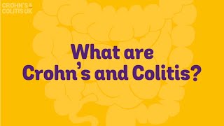 What are Crohns and Colitis [upl. by Ferrand618]