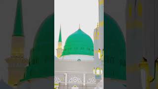 Dar e nabi par ye umr bite 💚  shorts viral trending islamicvideo [upl. by Tnilk55]